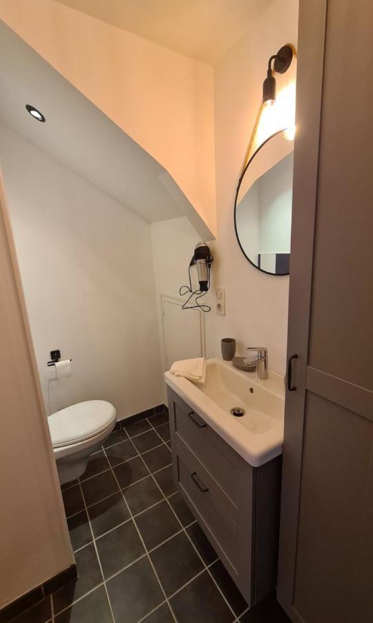 Studio Le Ligerien Saint-Denis-de l'Hotel Экстерьер фото